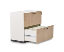 Load image into Gallery viewer, Jensen Lateral File