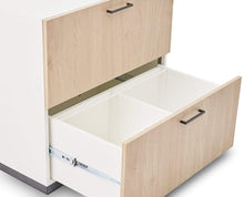 Load image into Gallery viewer, Jensen Lateral File